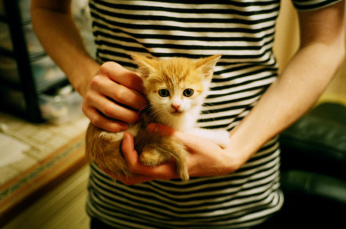 中国篮球超级联赛新规则实施,影响深远,篮球中超联赛时间表