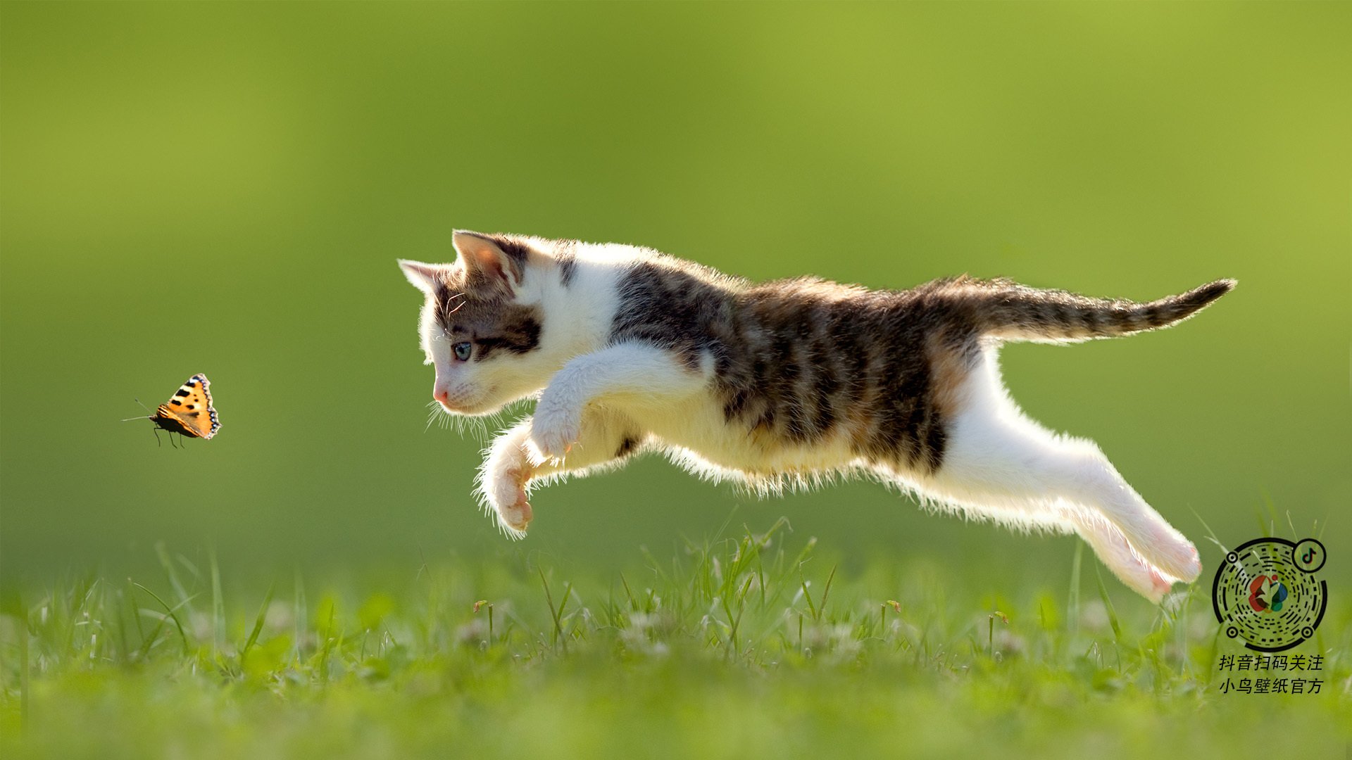 乐鱼app-堡垒之夜被誉为“未来社交空间”样板