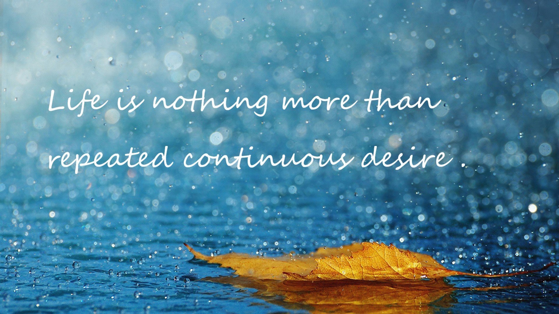 leyu乐鱼官网登录入口-巴朗加国王季后赛冲击力十足，巴朗加斯怪兽