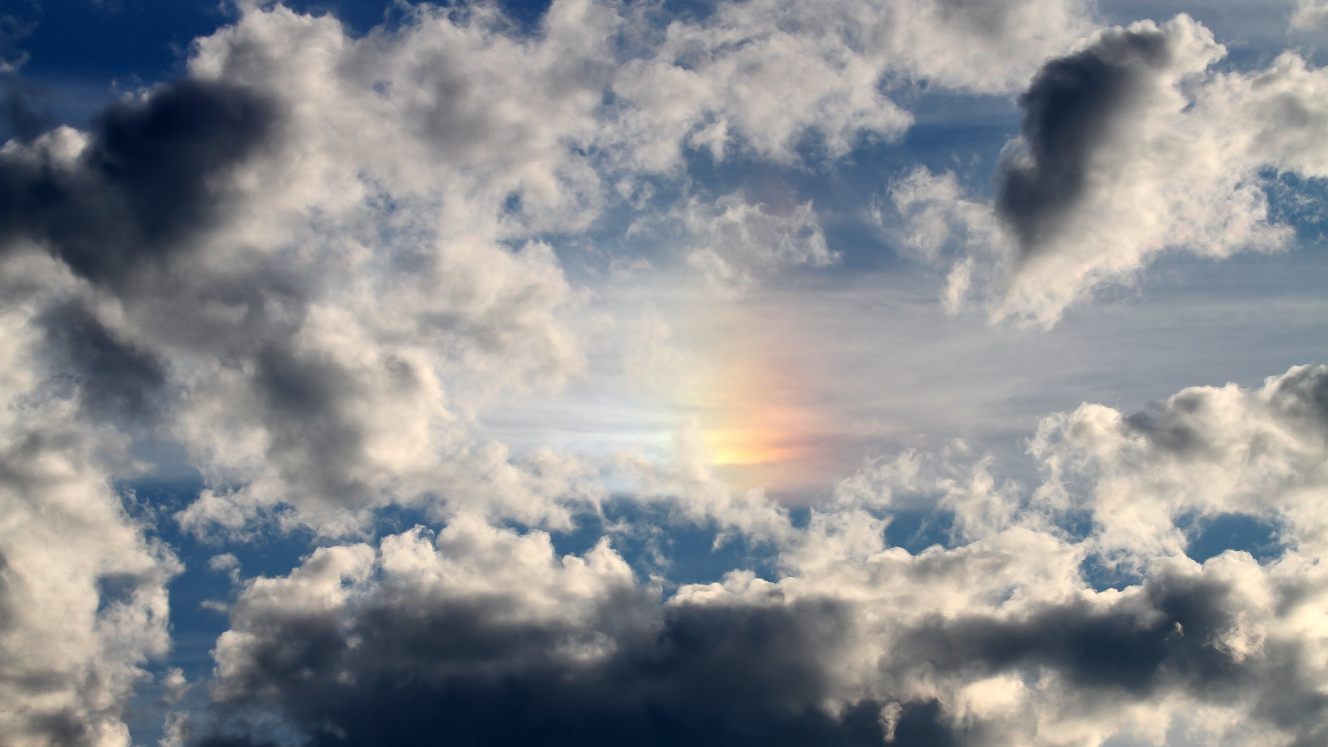 马赛签下实力后卫,马赛队门将