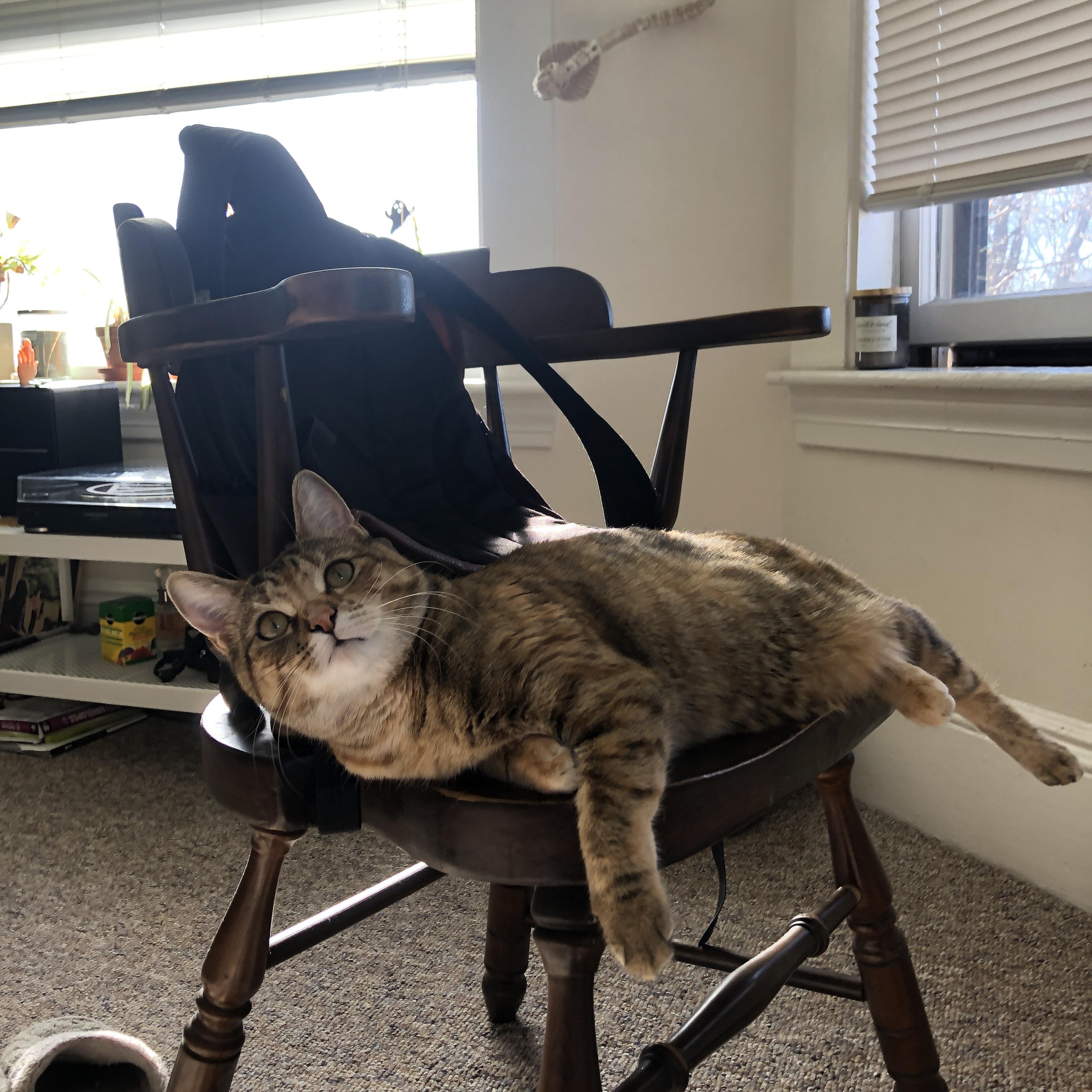 中立B选手与国际强手差距逐渐缩小,中立场比赛