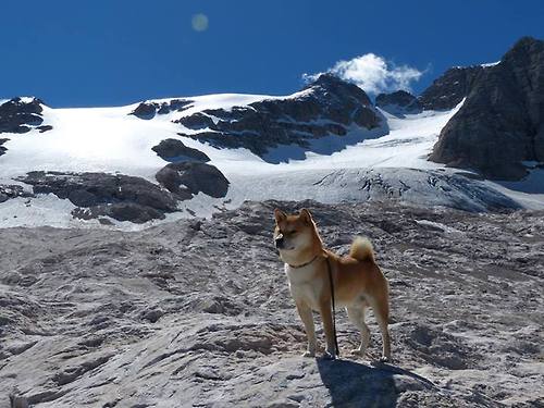乐鱼体育-亚冠联赛中国女足惨败 球员配合存在不足，中国女足亚洲杯日程