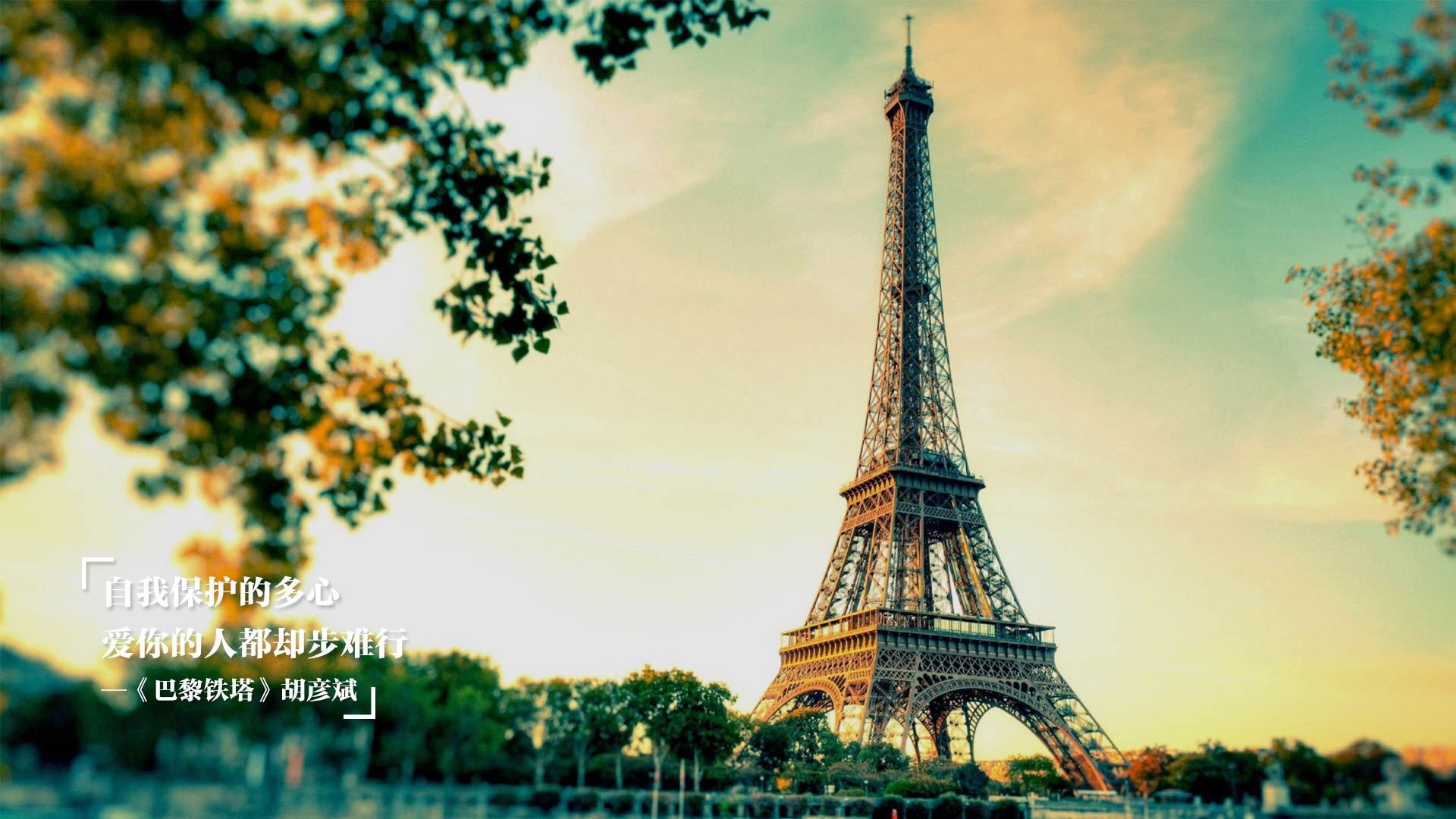 德甲速度狂飙：瞬秒突破引爆现场！，德甲跑动距离排名