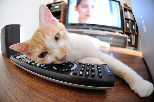 乐鱼vip-英超蓝血豪门：冠绝全场的激烈碰撞，绰号蓝军的英超豪门