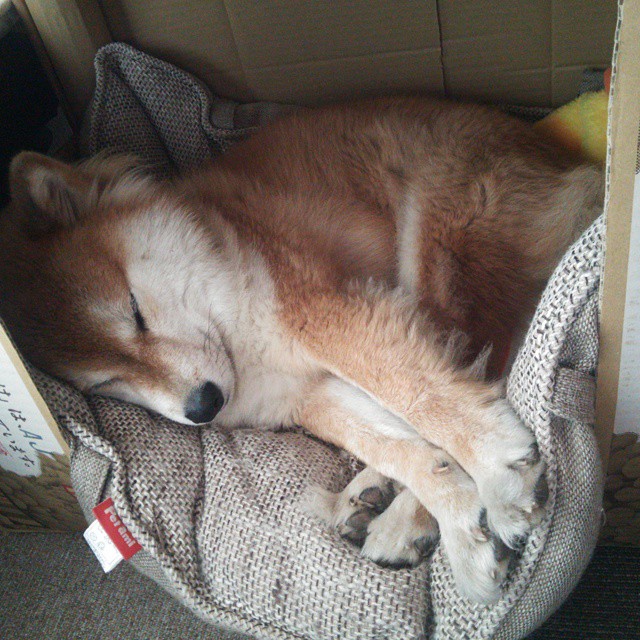 leyu乐鱼-足球赛事直播技术创新，观赛体验升级，足球赛事直播软件哪个好